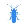 Уничтожение тараканов в Сергиевом Посаде